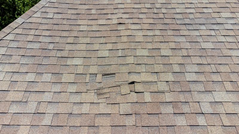 Asphalt Roof Inspection in Dublin, PA