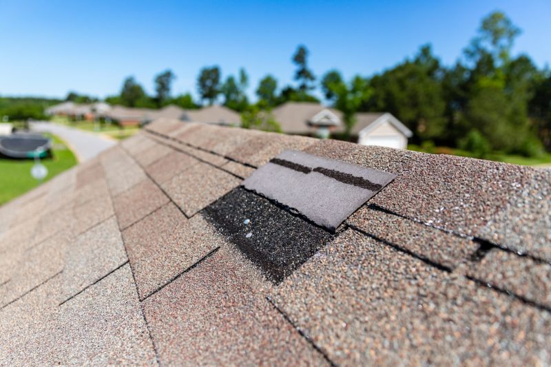 Asphalt Roof Leak Repair in Riegelsville, PA