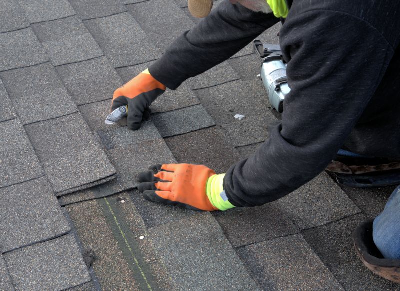 Asphalt Roof Repair in Budd Lake, NJ