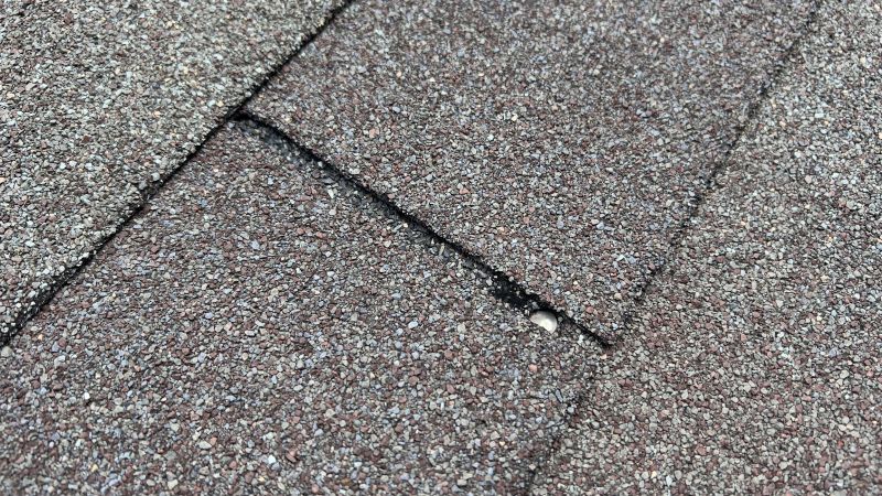 Asphalt Roof Repair in Budd Lake, NJ