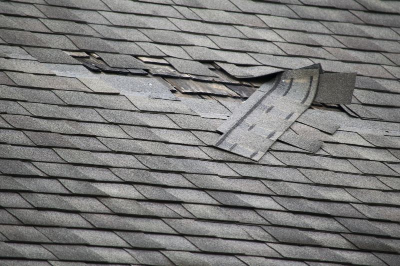 Asphalt Roof Repair in Hunterdon County, NJ
