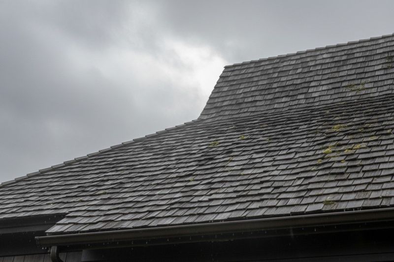 Cedar Roof Replacement in High Bridge, NJ