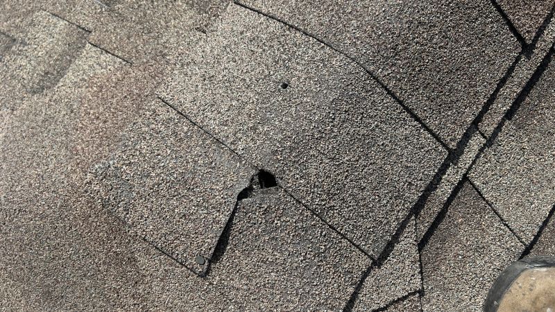Damaged Roof Repair in Ringoes, NJ