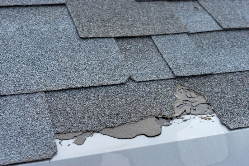 Damaged Roof Repair in Stockton, NJ