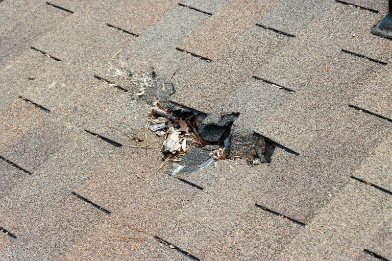 Damaged Roof Replacement in East Stroudsburg, PA