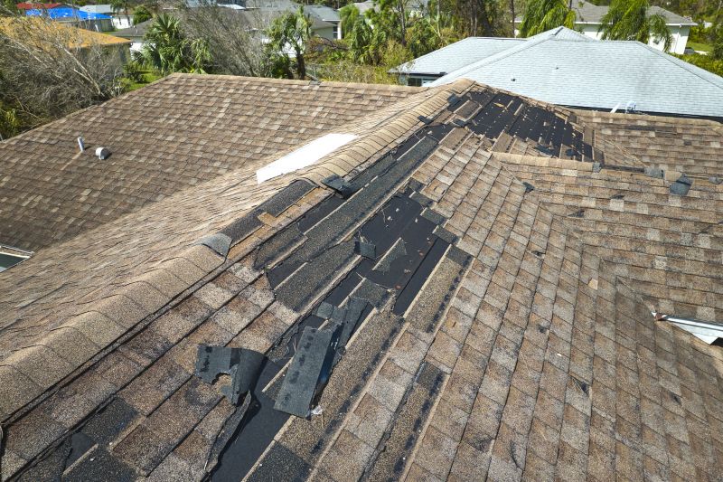 Damaged Roof Replacement in Stockton, NJ