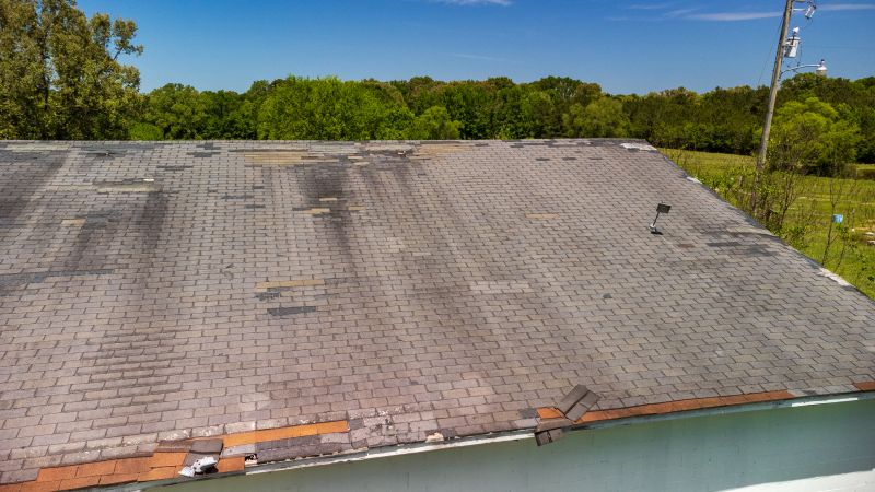 Hail Damage Roof Repair in Ringoes, NJ