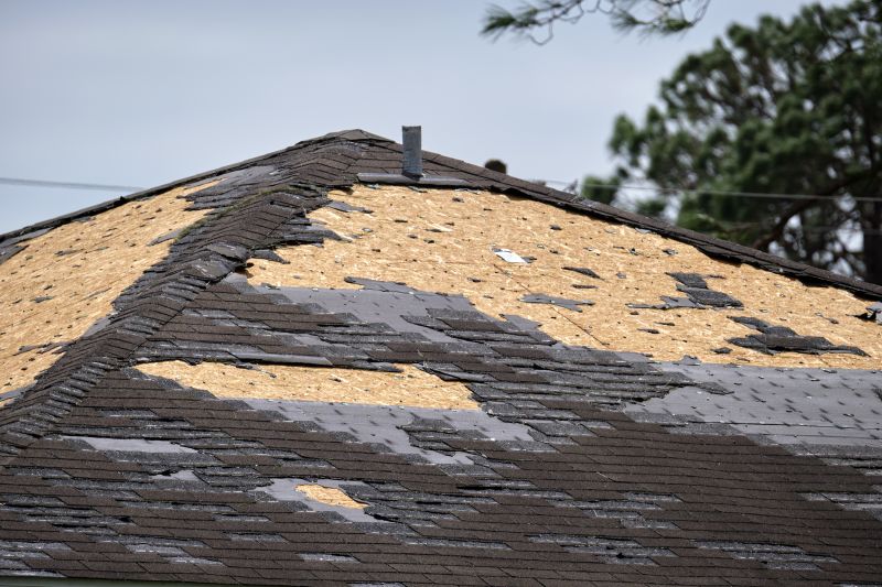 Roof Damage Repair in Chester, NJ