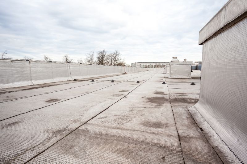 Tpo Roof Repair in Long Valley, NJ